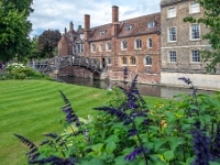 Cambridge